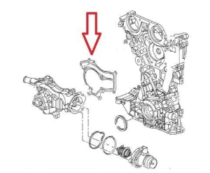 Uszczelka pompy wody