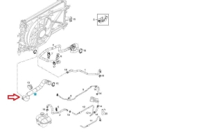 Wąż wlotowy chłodnicy Opel