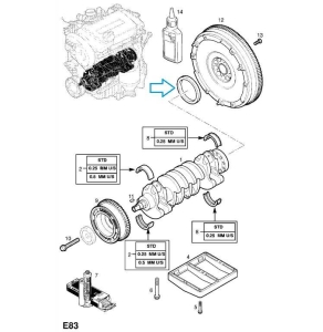 Uszczelka pierścieniowa wału korbowego