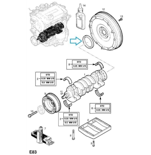 Uszczelka pierścieniowa wału korbowego