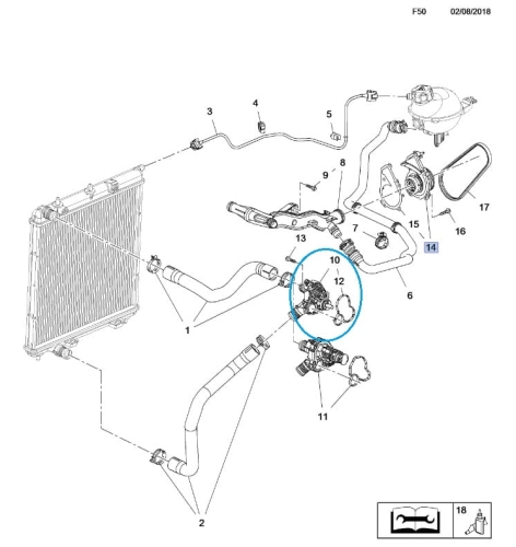 Termostat wody B12XE