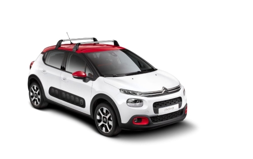 oryginalny bagażnik dachowy C3