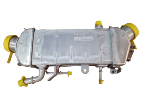 20250509_104104-removebg-preview (2).png